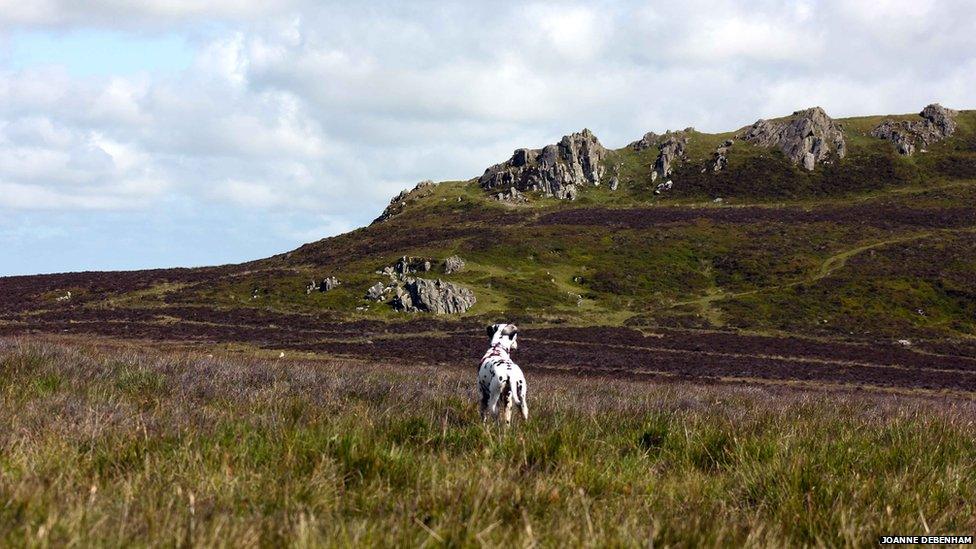 Preseli Hills in Pembrokeshire