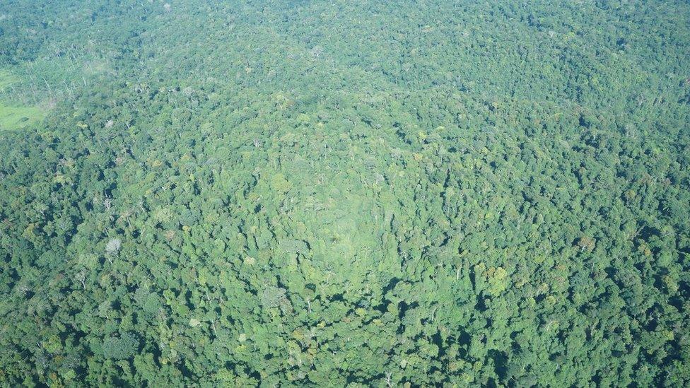 Aerial view of rainforest in Mato Grosso, Brazil (July 2015)