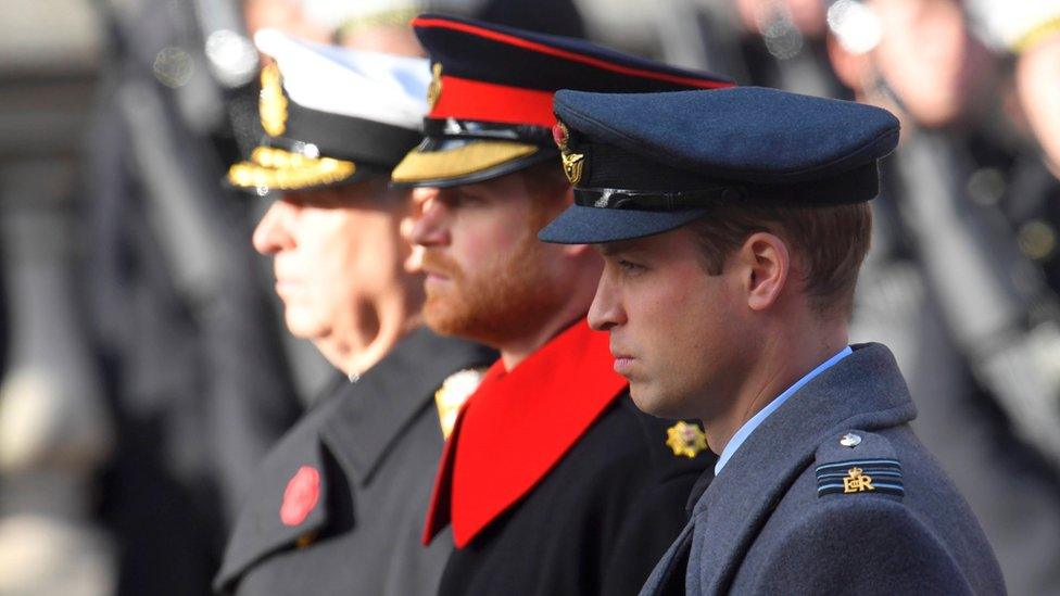 Princes Andrew, Harry and William