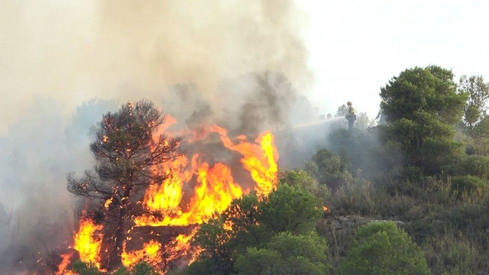 Fires-in-Catalonia.