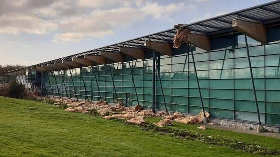 Storm damage to the roof of the Bangor Aurora Aquatic and Leisure Complex