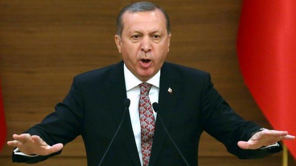 This file photo taken on February 10, 2016 shows Turkey"s President Recep Tayyip Erdogan