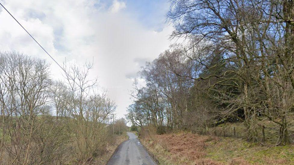 A narrow rural road lined by trees