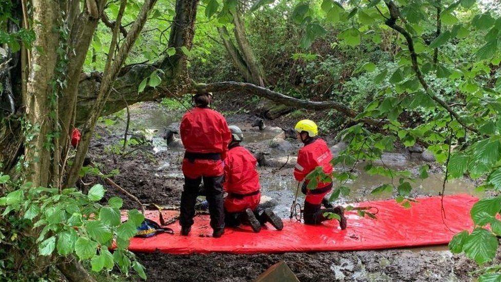 Three firefighters in red jackets facing away on a red raft/walkway with sheep up to their necks in mud in the background