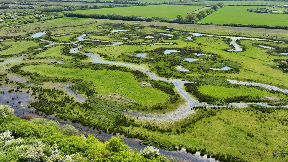 Scrapes and footdrains are long snaking trails of water through green fields.