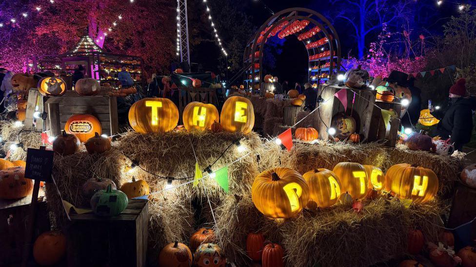 Pumpkins spelling "The Patch" are lit up. They are surrounded by other pumpkins and lights.