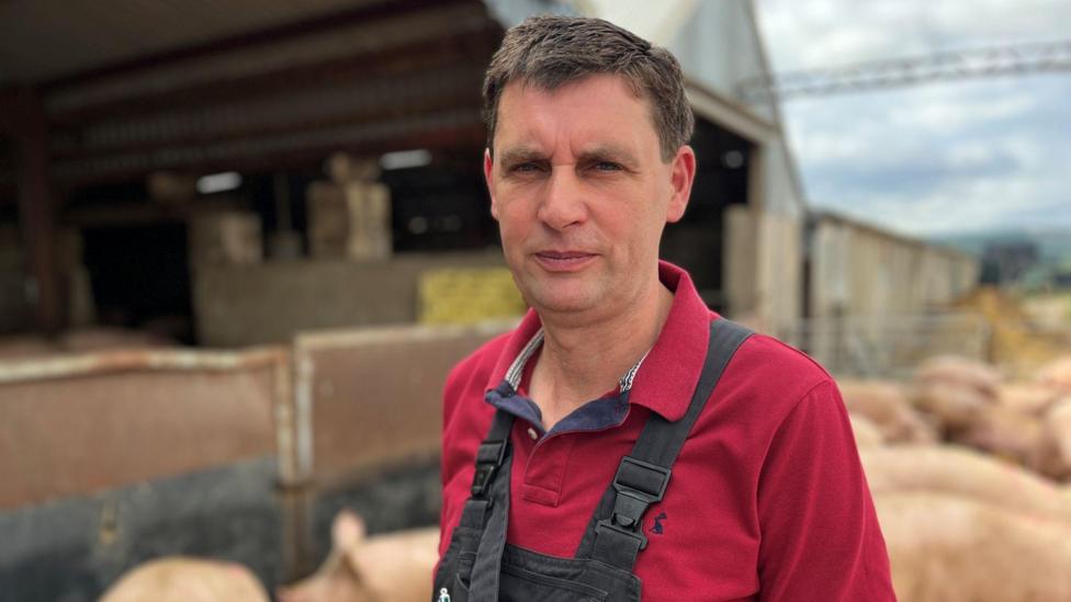 Struggling pig farmers say £2m support package 'not enough'