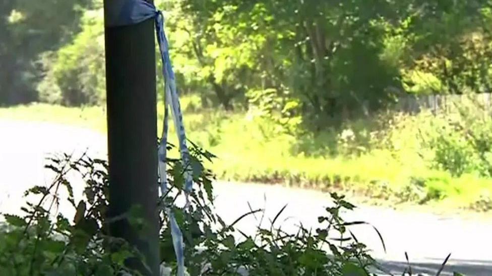 A police tape is tied around a tree, with green plants, other trees and a road in the background. 