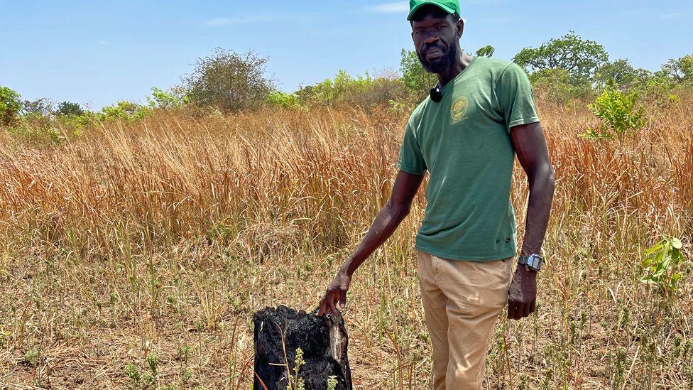 Mustafa Gerima with his hand on the stump of a burnt shea nut tree in Uganda