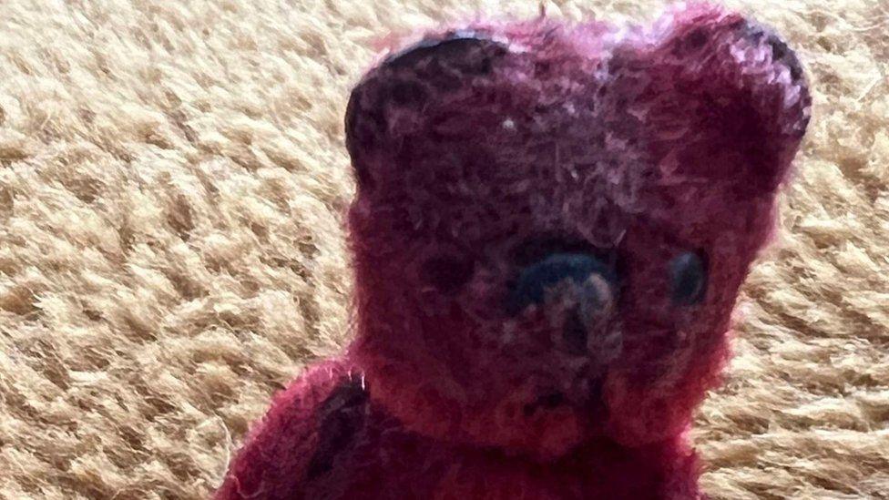 A close up of a tatty red bear's face