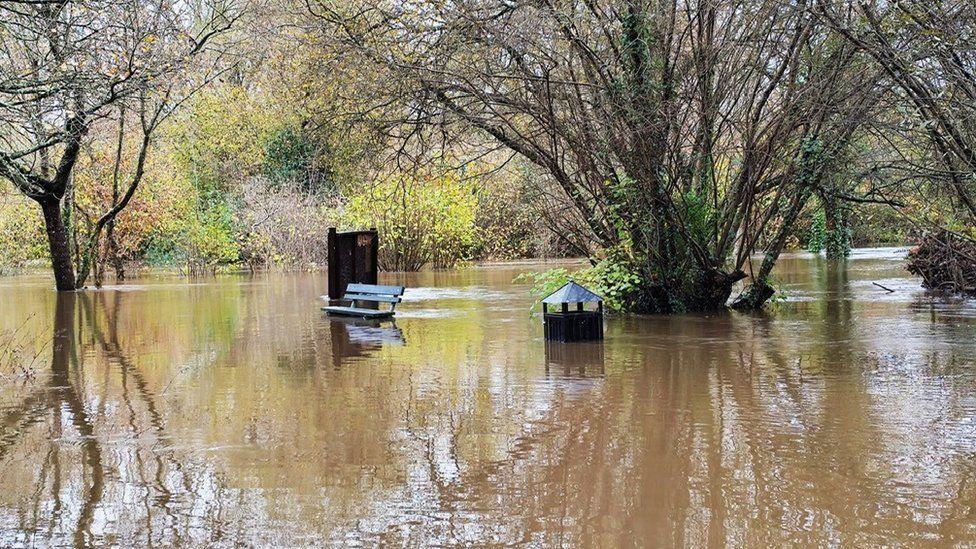 Brown water swamps woodland with top of bin and bench seen just above the water line.