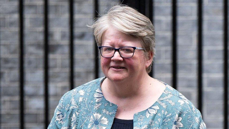 Therese Coffey