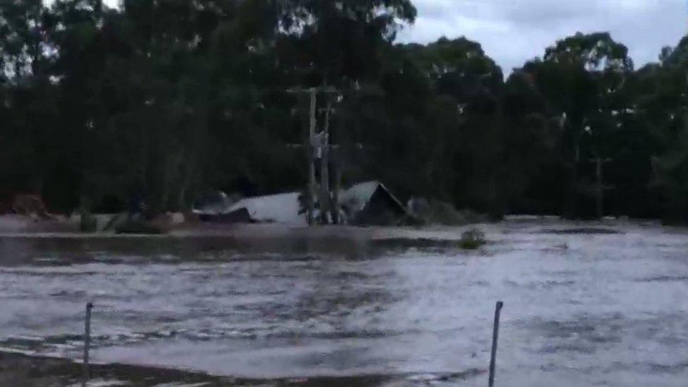 The house hits trees after breaking from its foundations