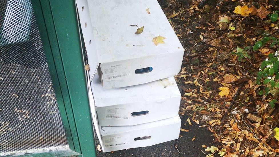 Boxes of meat rubbish