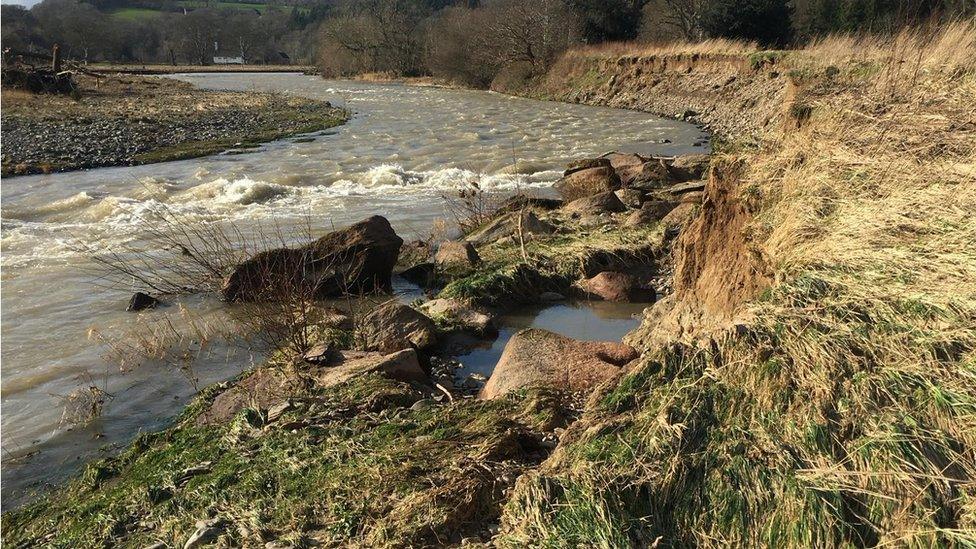 Flood defences on Glanllyn farm