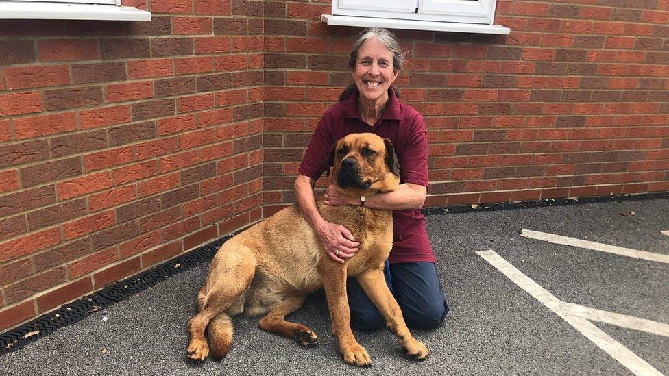 Penny Skate, an RSPCA volunteer for the past 40 years.