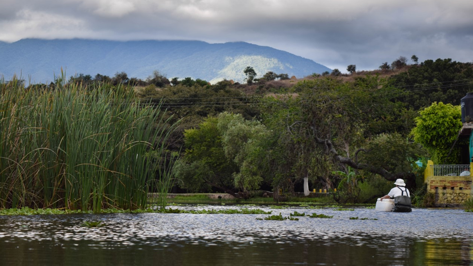 Reintroduction site in Jalisco, Mexico