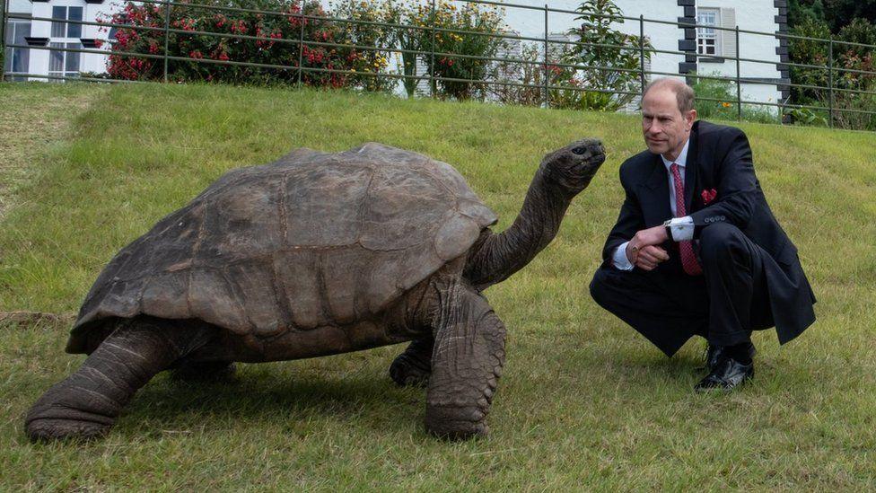 prince Edward with jonathon the tortoise