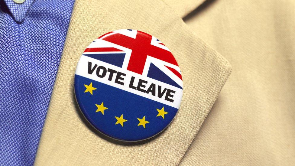 Vote leave tag on a blazer