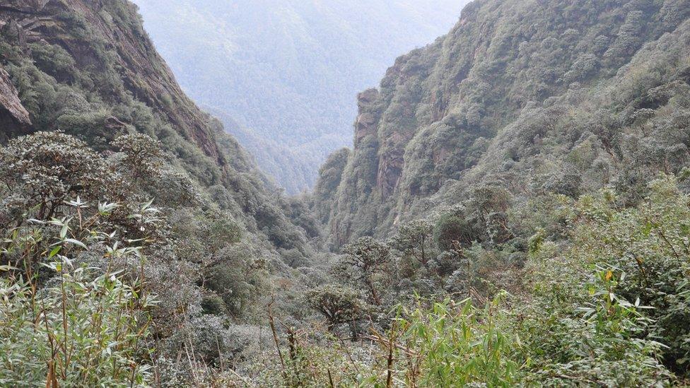 Valley in Vietnam