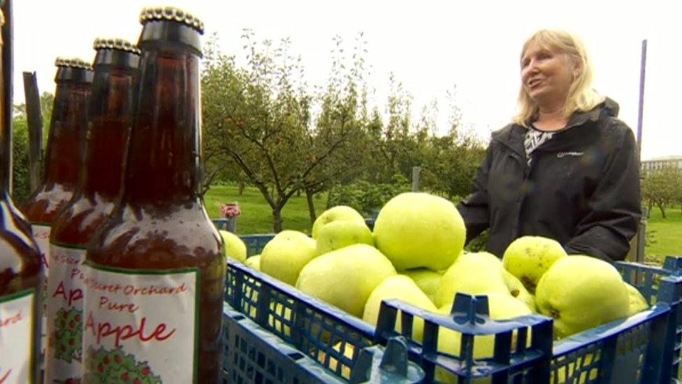 Leftover cider from Pickering Road Community Orchard