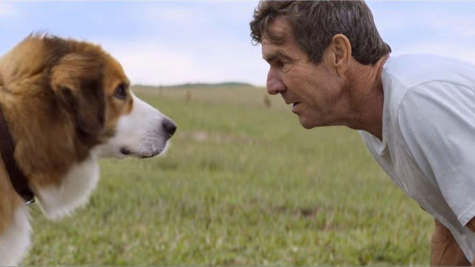 Dennis Quaid in A Dog's Purpose