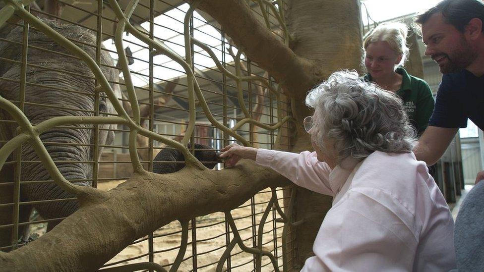 Kay Day feeding an elephant