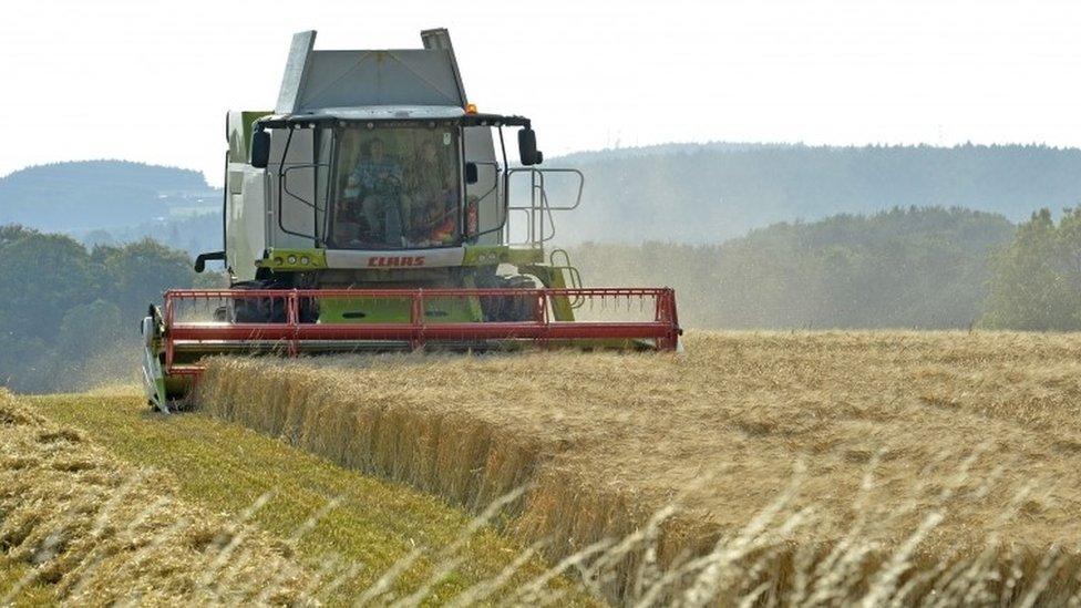 Combine harvester