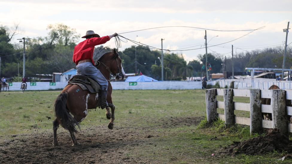 A man rides his horse, lasso in hand, during the rodeo