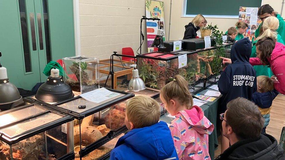 Children learning about insects at Our Animal World