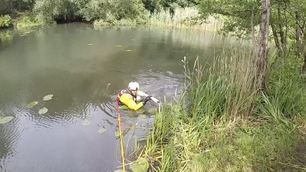 Swan rescue