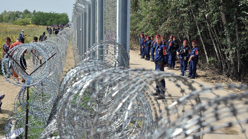 Migrants and refugees walk near razor-wire along a 3-meter-high fence secured by Hungarian police (R) at the official border crossing between Serbia and Hungary, near the northern Serbian town of Horgos on September 15, 2015.