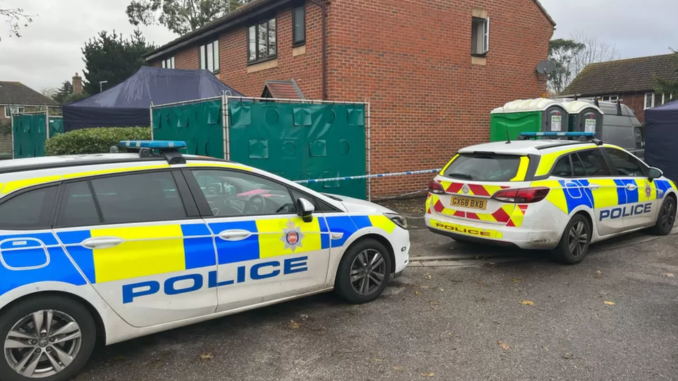 Police cars in West Molesey