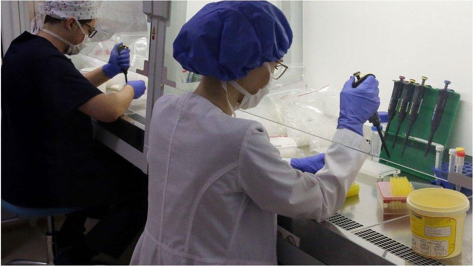 Employees working in a lab