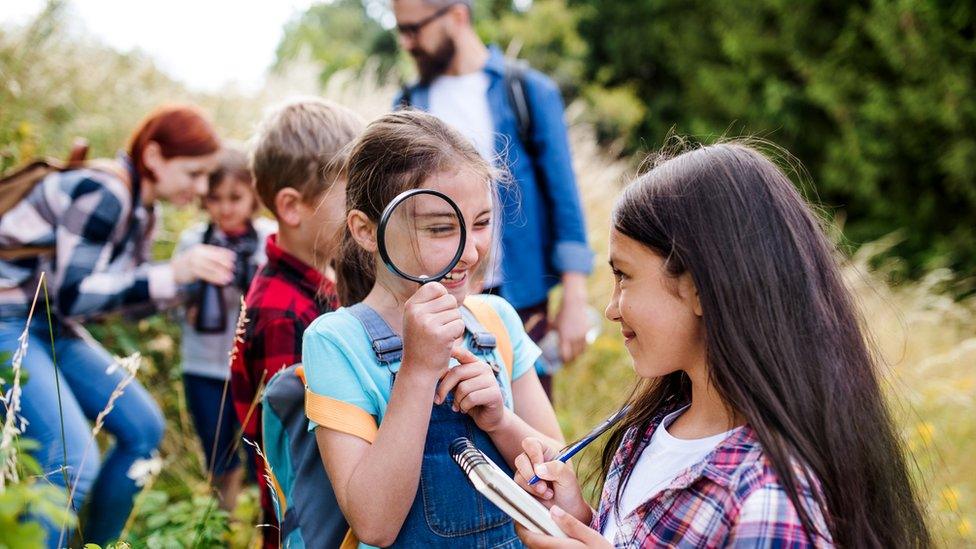 kids on a school trip