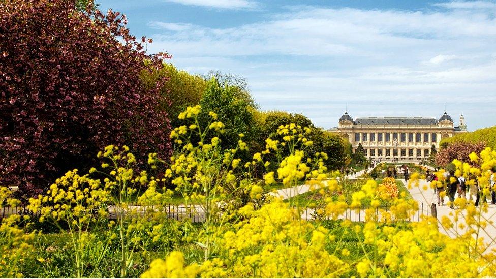 Flowers bloom in front of the French National Museum of Natural History in Paris