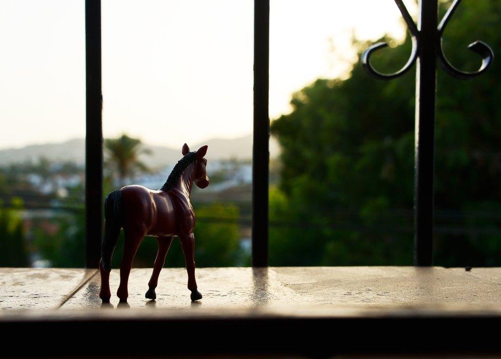 Toy horse