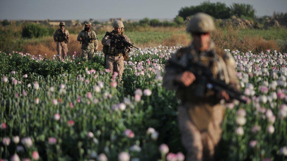 US Marines in a poppy field in Afghanistan