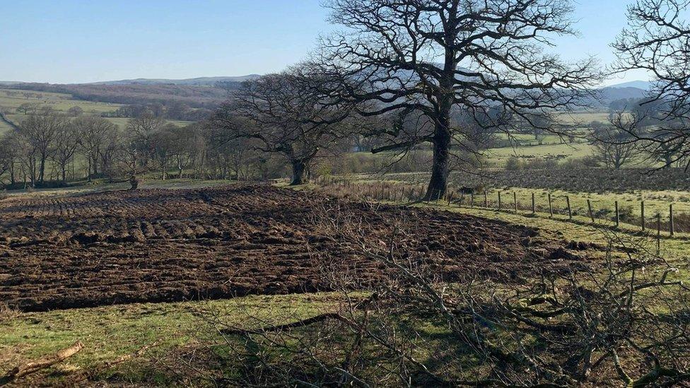 The mistakenly ploughed field