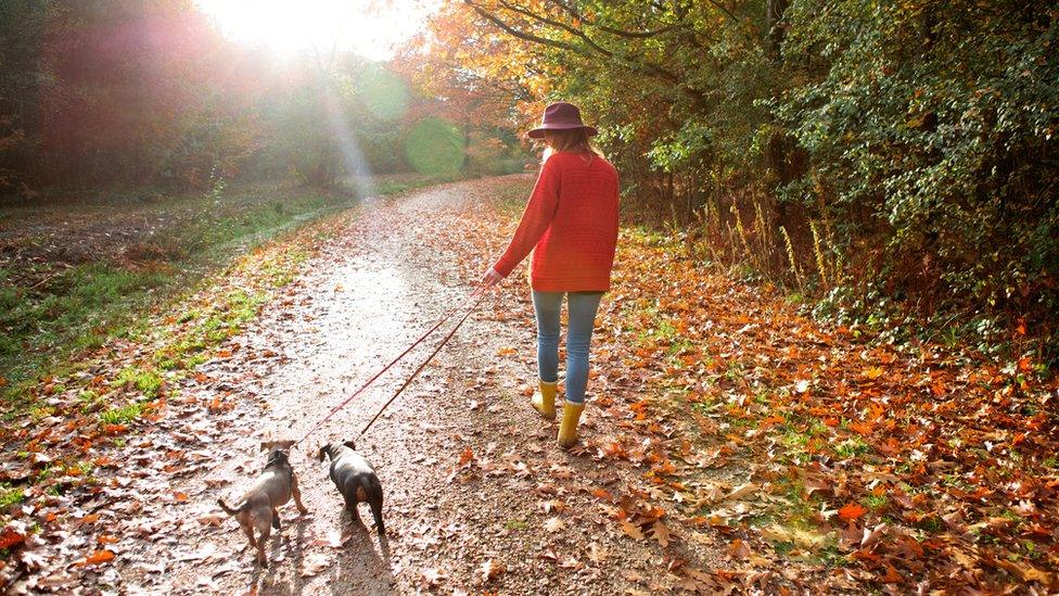 Woman walking