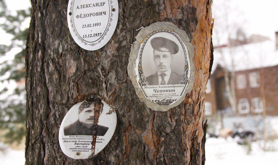 Victims' photos on a tree