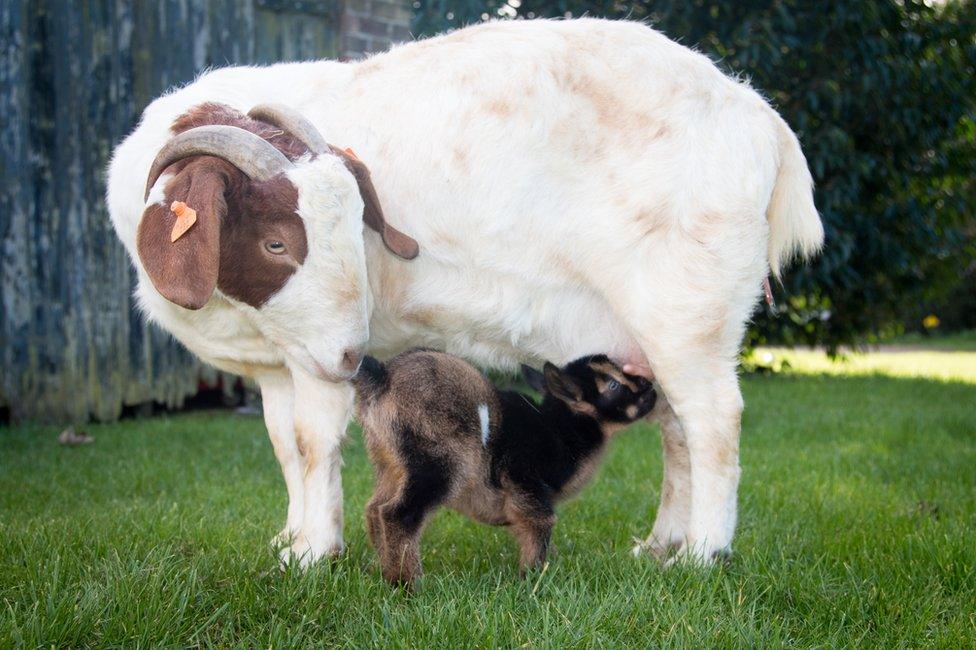 Myrtle with her son