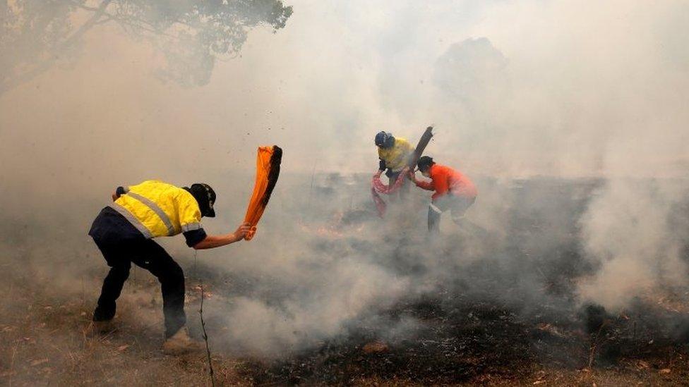 Locals try to put out spot fires near Taree in New South Wales