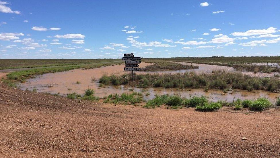 Des Hansson's daughter took this photograph after the McKinlay River started to flow