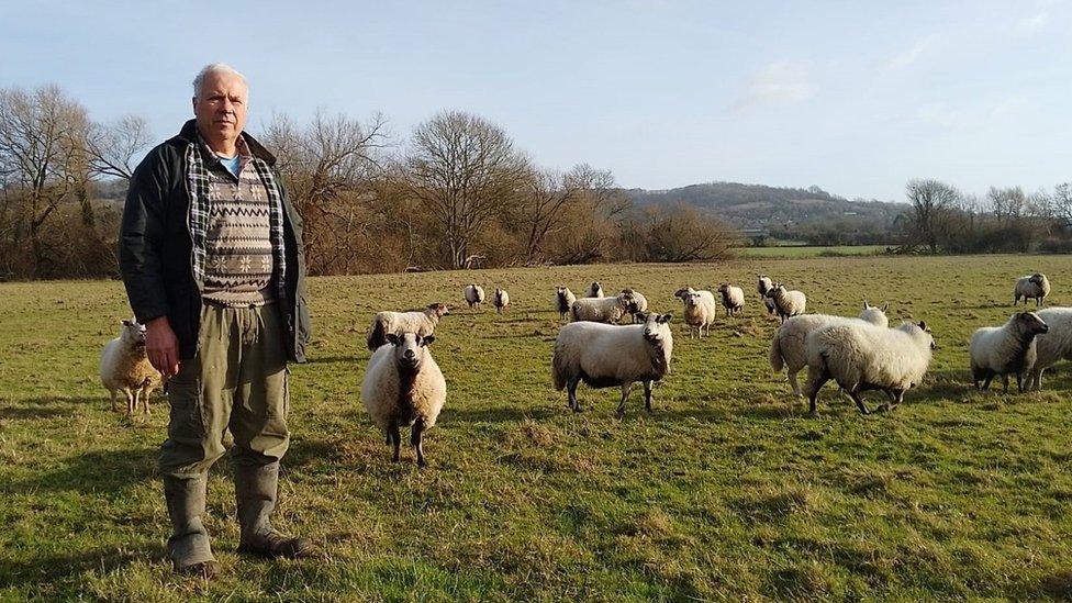 A famer with some of his sheep in a field