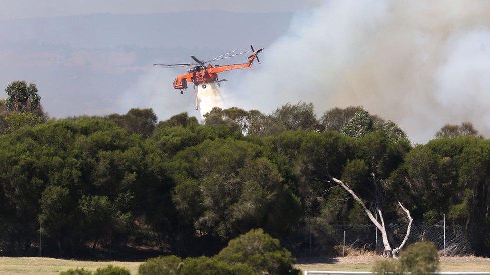 Helicopter putting out a wildfire