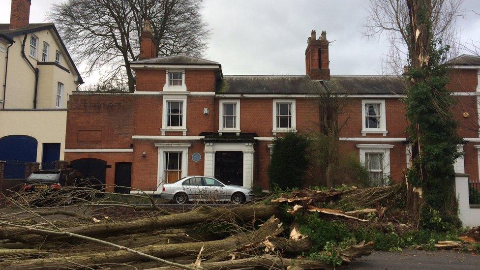 Trees brought down in Edgbaston