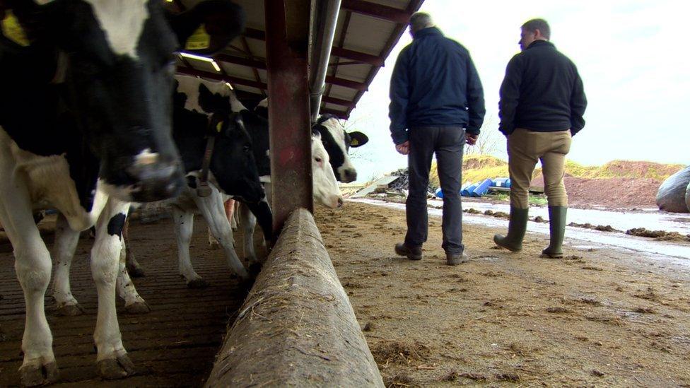 Colin Watt on his farm