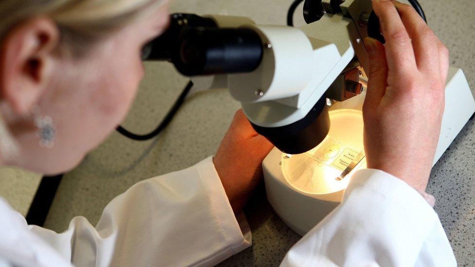 A woman looks through a microscope