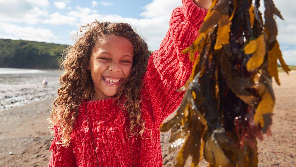 Girl holding seaweed